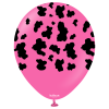 Cow Fuchsia